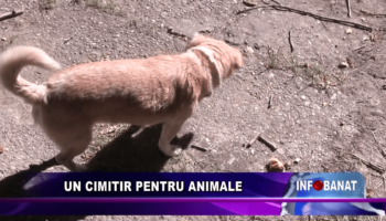 Un cimitir pentru animale