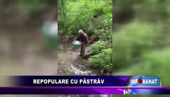 Repopulare cu păstrăv