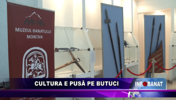 Cultura e pusă pe butuci