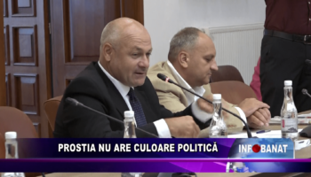 Prostia nu are culoare politică