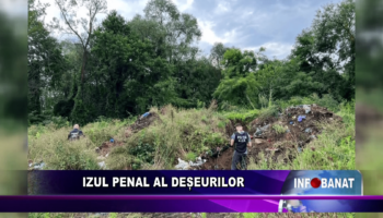 Izul penal al deșeurilor