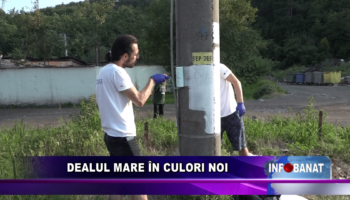 Dealul Mare în culori noi