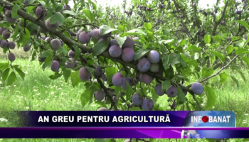 An greu pentru agricultură