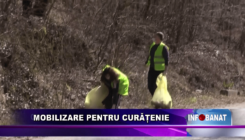 Mobilizare pentru curățenie