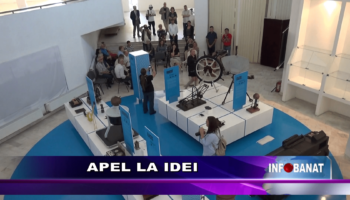 Apel la idei