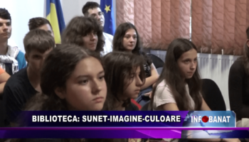 Biblioteca: sunet-imagine-culoare