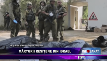 Mărturii reșițene din Israel