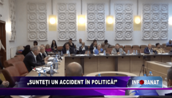 „Sunteți un accident în politică!”