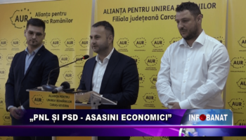 „PNL și PSD –  asasini economici”