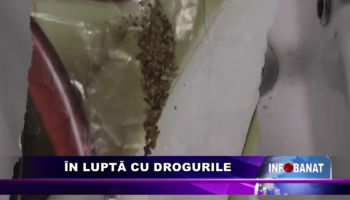 În luptă cu drogurile