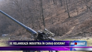 Se relansează industria în Caraș-Severin?