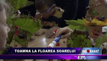 Toamna la Floarea Soarelui