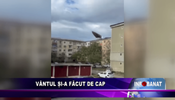 Vântul și-a făcut de cap