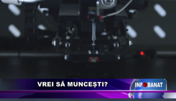 Vrei să muncești?