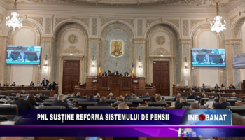 PNL susțtine reforma sistemului de pensii