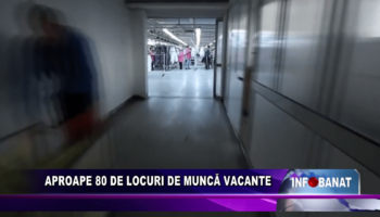 Aproape 80 de locuri de muncă vacante