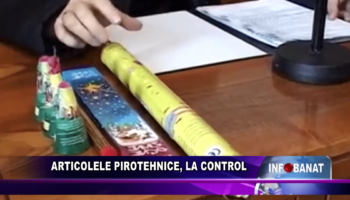 Articolele pirotehnice, la control