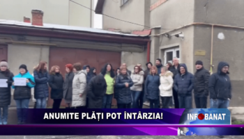 Anumite plăți pot întârzia!