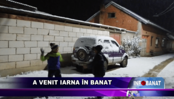 A venit iarna în Banat