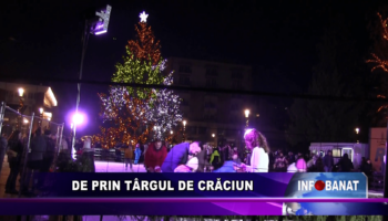 De prin Târgul de Crăciun