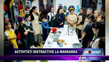 Activități distractive la Mansarda