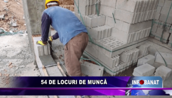 54 de locuri de muncă