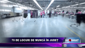 70 de locuri de muncă în județ