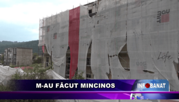 M-au făcut mincinos