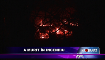 A murit în incendiu