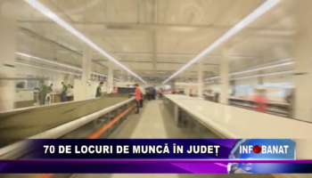 70 de locuri de muncă în județ