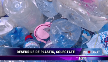 Deșeurile de plastic, colectate