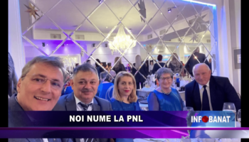 Noi nume la PNL