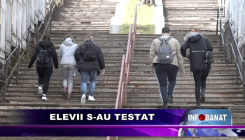 Elevii s-au testat