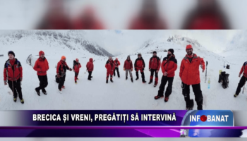 Brecica și Vreni, pregătiți să intervină