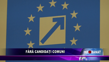 Fără candidați comuni