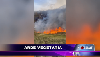 Arde vegetația