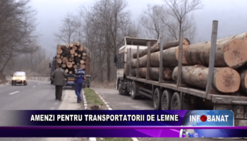 Amenzi pentru transportatorii de lemne