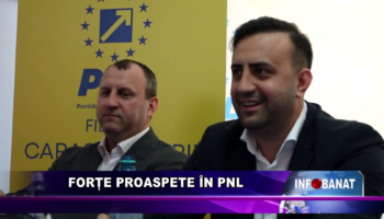 Forțe proaspete în PNL