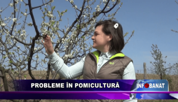 Probleme în pomicultură