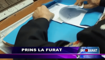 Prins la furat