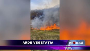 Arde vegetația