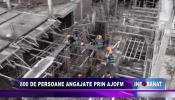 800 de persoane angajate prin AJOFM