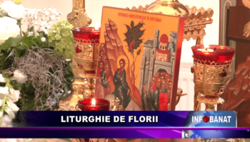 Liturghie de Florii