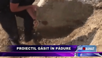 Proiectil găsit în pădure