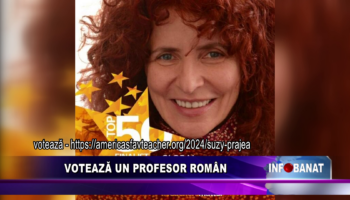 Votează un profesor român