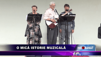 O mică istorie muzicală