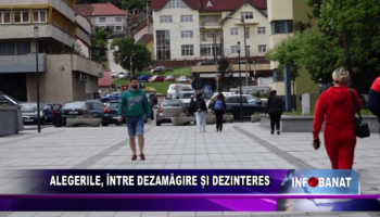 Alegerile, între dezamăgire și dezinteres