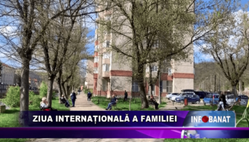 Ziua Internațională a Familiei