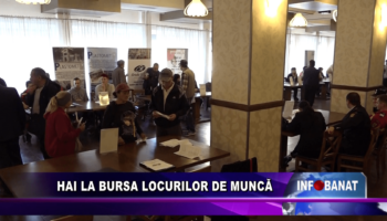 Hai la Bursa Locurilor de Muncă