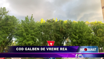 Cod galben de vreme rea